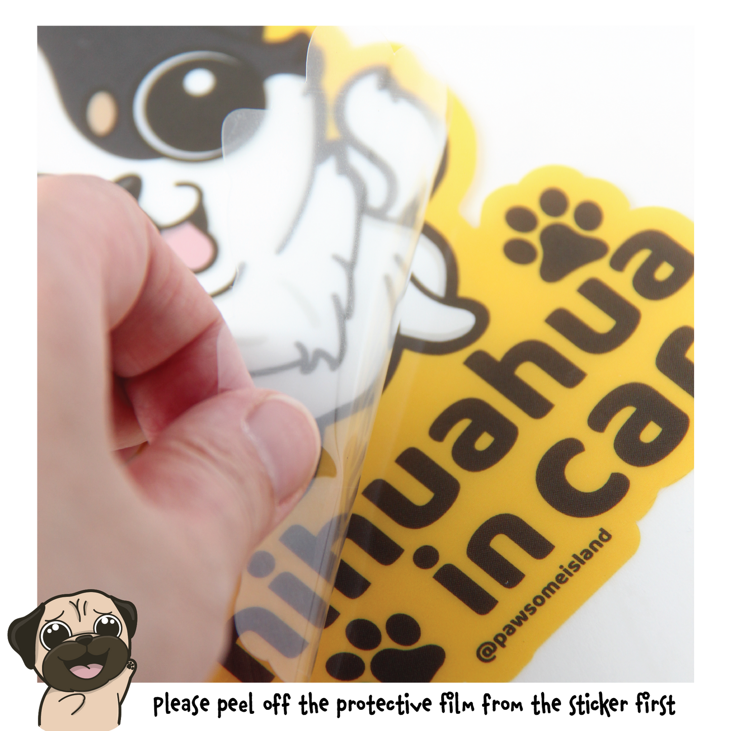 Bichon Car Sticker - A Must-Have for Dog Lovers!